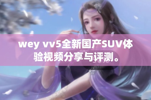 wey vv5全新国产SUV体验视频分享与评测。