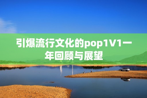 引爆流行文化的pop1∨1一年回顾与展望