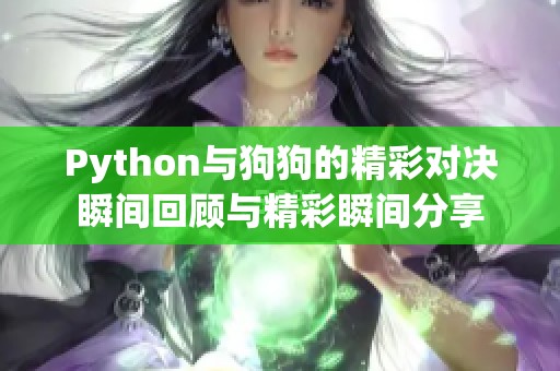 Python与狗狗的精彩对决瞬间回顾与精彩瞬间分享