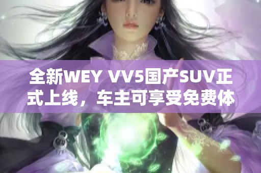 全新WEY VV5国产SUV正式上线，车主可享受免费体验活动