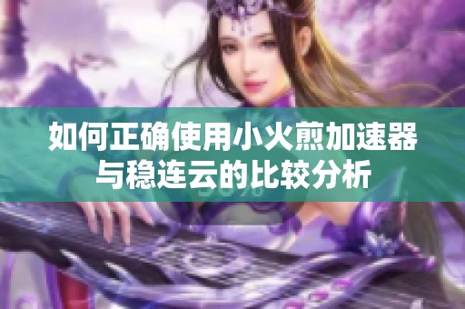 如何正确使用小火煎加速器与稳连云的比较分析