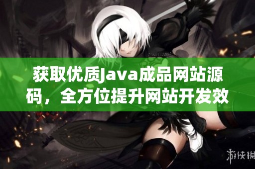 获取优质Java成品网站源码，全方位提升网站开发效率