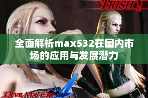 全面解析max532在国内市场的应用与发展潜力