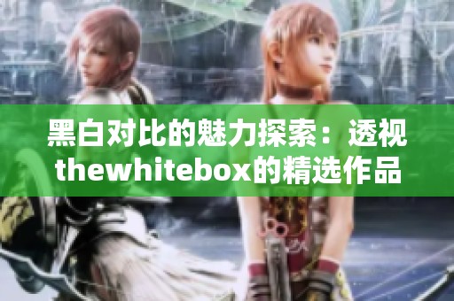 黑白对比的魅力探索：透视thewhitebox的精选作品