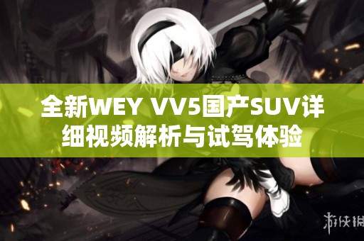 全新WEY VV5国产SUV详细视频解析与试驾体验