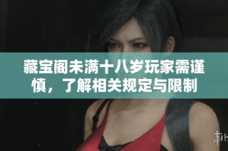 藏宝阁未满十八岁玩家需谨慎，了解相关规定与限制