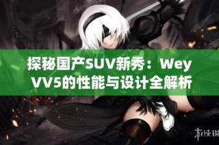 探秘国产SUV新秀：Wey VV5的性能与设计全解析