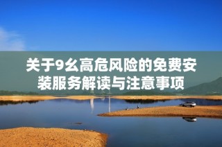 关于9幺高危风险的免费安装服务解读与注意事项