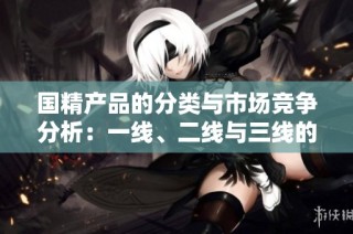 国精产品的分类与市场竞争分析：一线、二线与三线的深度解读