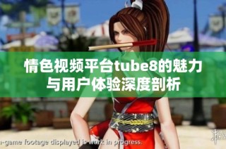 情色视频平台tube8的魅力与用户体验深度剖析