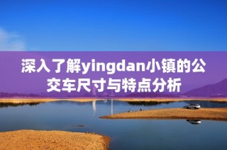 深入了解yingdan小镇的公交车尺寸与特点分析