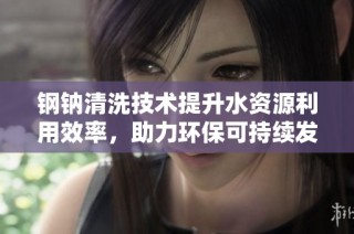 钢钠清洗技术提升水资源利用效率，助力环保可持续发展