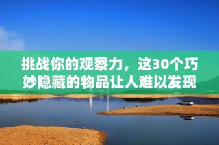 挑战你的观察力，这30个巧妙隐藏的物品让人难以发现