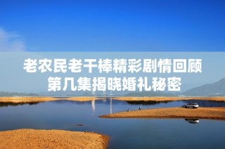 老农民老干棒精彩剧情回顾 第几集揭晓婚礼秘密
