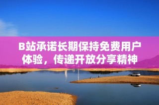 B站承诺长期保持免费用户体验，传递开放分享精神