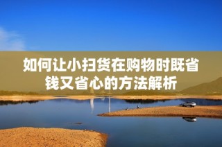 如何让小扫货在购物时既省钱又省心的方法解析