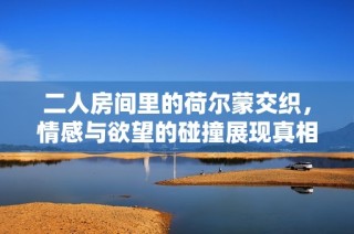 二人房间里的荷尔蒙交织，情感与欲望的碰撞展现真相