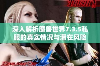 深入解析魔兽世界7.3.5私服的真实情况与潜在风险