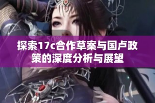 探索17c合作草案与国卢政策的深度分析与展望