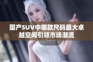 国产SUV中哪款尺码最大卓越空间引领市场潮流