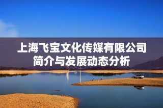 上海飞宝文化传媒有限公司简介与发展动态分析