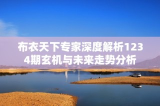 布衣天下专家深度解析1234期玄机与未来走势分析
