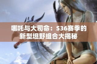 哪吒与大司命：S36赛季的新型坦野组合大揭秘