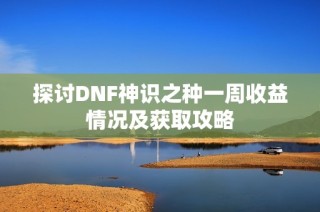 探讨DNF神识之种一周收益情况及获取攻略