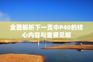 全面解析下一页中P40的核心内容与重要见解