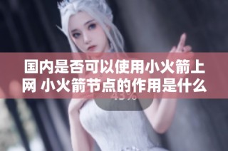 国内是否可以使用小火箭上网 小火箭节点的作用是什么