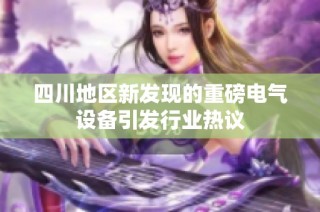 四川地区新发现的重磅电气设备引发行业热议