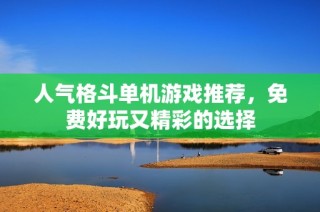 人气格斗单机游戏推荐，免费好玩又精彩的选择