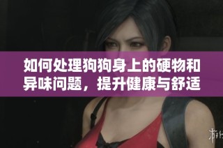 如何处理狗狗身上的硬物和异味问题，提升健康与舒适度