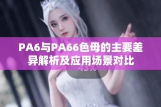 PA6与PA66色母的主要差异解析及应用场景对比