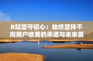 B站坚守初心：始终坚持不向用户收费的承诺与未来展望