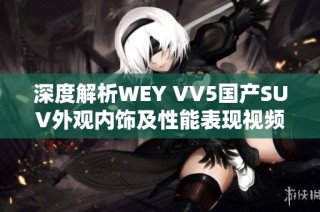 深度解析WEY VV5国产SUV外观内饰及性能表现视频 