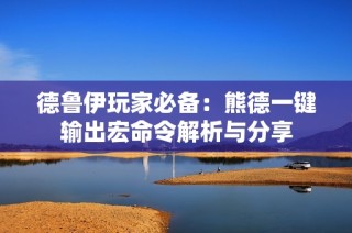 德鲁伊玩家必备：熊德一键输出宏命令解析与分享