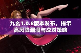 九幺1.0.8版本发布，揭示高风险漏洞与应对策略