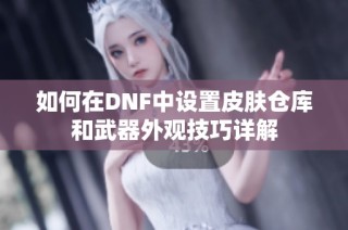如何在DNF中设置皮肤仓库和武器外观技巧详解