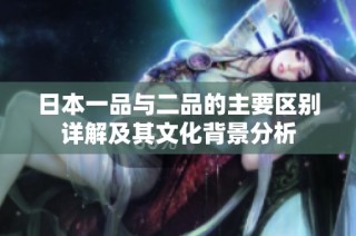 日本一品与二品的主要区别详解及其文化背景分析