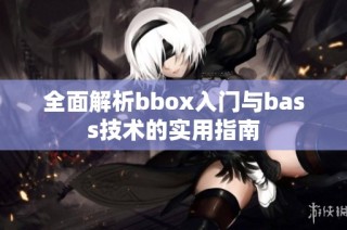 全面解析bbox入门与bass技术的实用指南