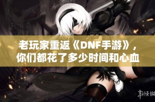 老玩家重返《DNF手游》,你们都花了多少时间和心血升级角色?