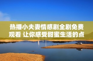 热播小夫妻情感剧全剧免费观看 让你感受甜蜜生活的点滴