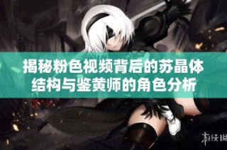 揭秘粉色视频背后的苏晶体结构与鉴黄师的角色分析