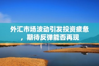 外汇市场波动引发投资疲惫，期待反弹能否再现