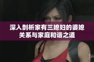 深入剖析家有三媳妇的婆媳关系与家庭和谐之道