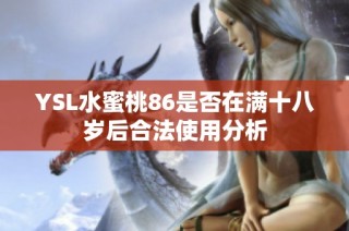 YSL水蜜桃86是否在满十八岁后合法使用分析