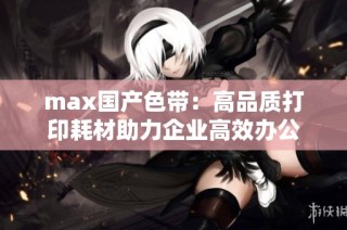 max国产色带：高品质打印耗材助力企业高效办公