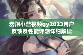 宏翔小蓝视频gy2023用户反馈及性能评测详细解读