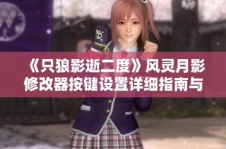 《只狼影逝二度》风灵月影修改器按键设置详细指南与全览